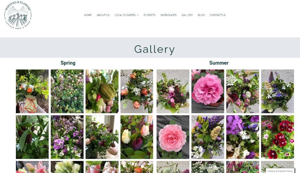 maryfield flowers gallery